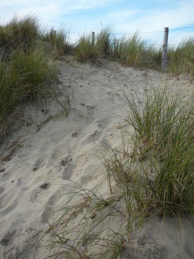 Strandslag Zanddijk 229 Julianadorp Aan Zee Exterior photo